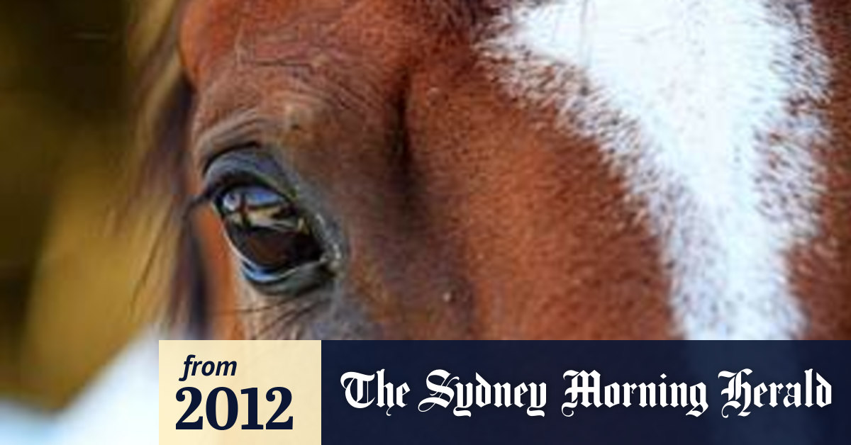 The humans who outrun horses
